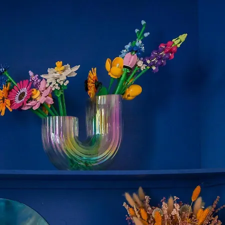 La Vie En Couleurs Appartement